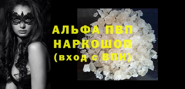 гидра Арсеньев