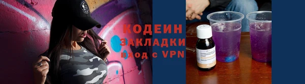 гидра Арсеньев