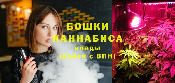 гидра Арсеньев