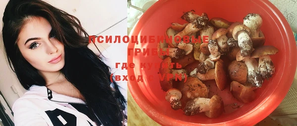 гидра Арсеньев