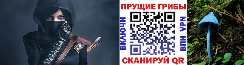 Галлюциногенные грибы MAGIC MUSHROOMS Борисоглебск